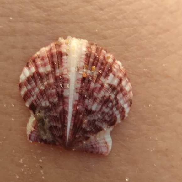 Meet your Posher, Tina - Picture 4 of 5